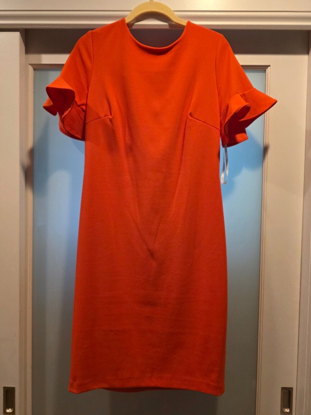 Calvin Klein ruffle sleeve dress
